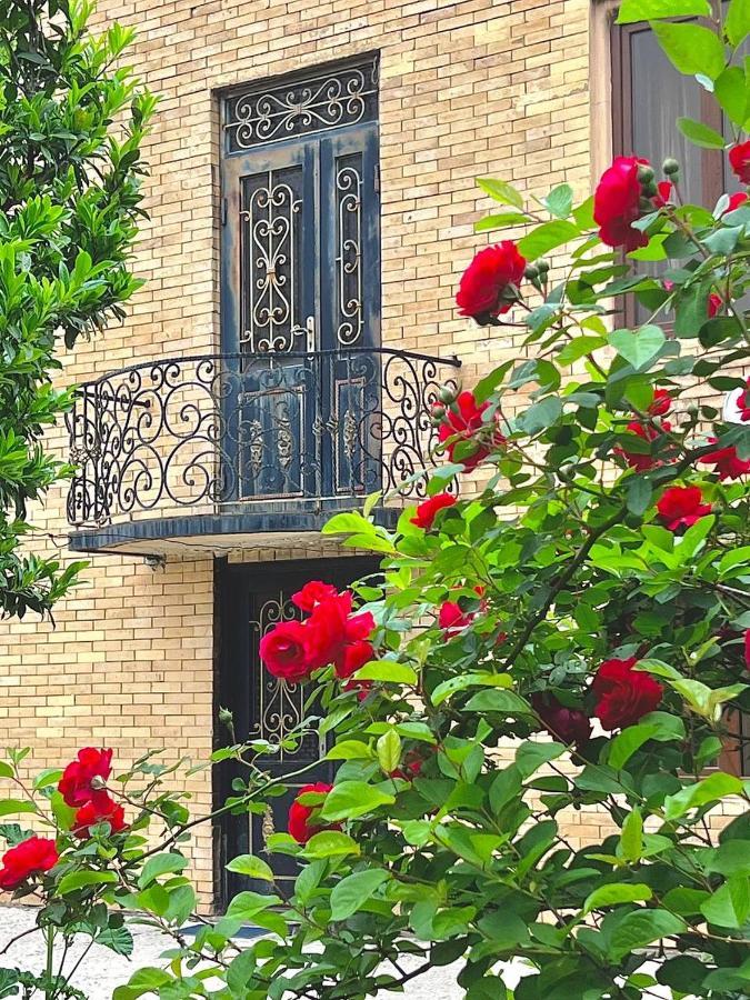 Hotel Gio Samtredia エクステリア 写真
